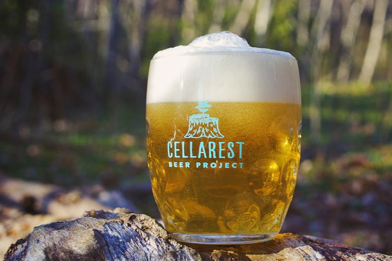 cellarest beer mug with golden-colored beer outside sitting atop rock