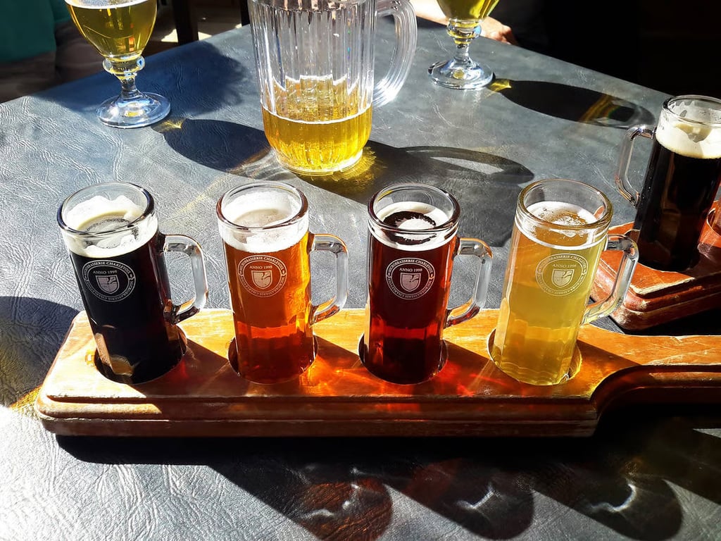 flight of beer demonstrating the color spectrum of beer