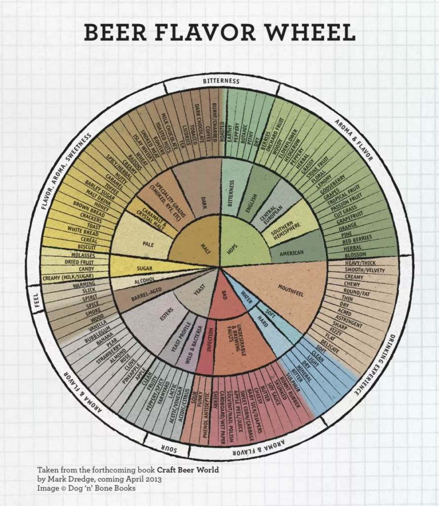 Beer flavor wheel diagram including color.