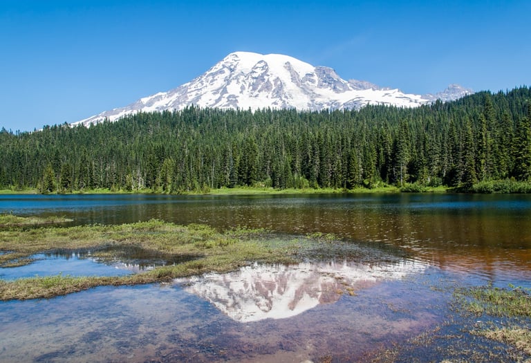 Rainier Mountain Festival in Ashford