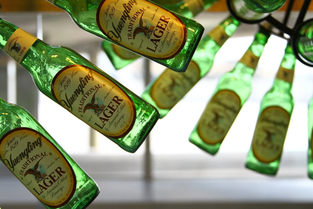 Yuengling Beer Connoisseur