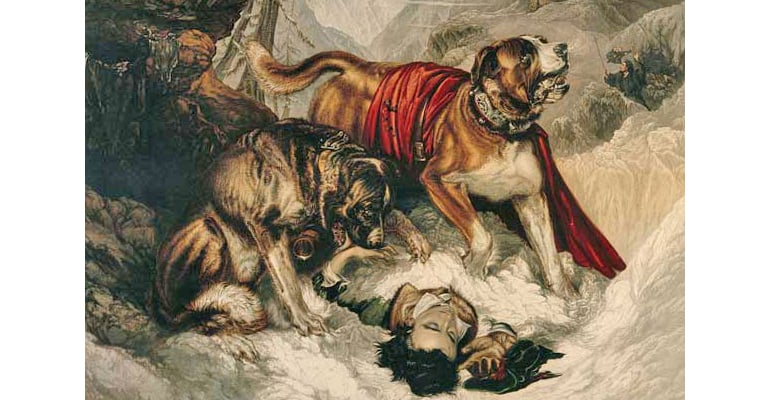 600_landseer_0.jpg