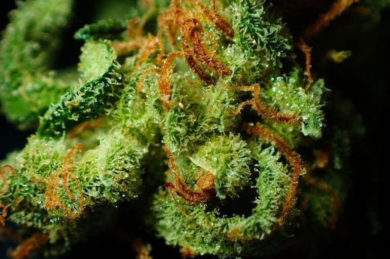 A Brief History of THC-O Cartridge