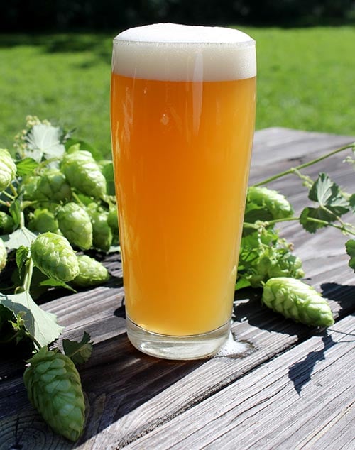 Golden craft beer beside hops on a wooden table, illustrating how IBU levels and hop additions influence beer’s flavor and bitterness.