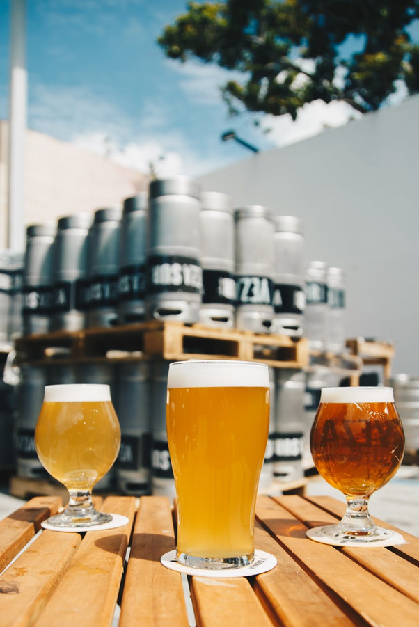 Is Getting a Degree in Brewing Science a Good Investment?
