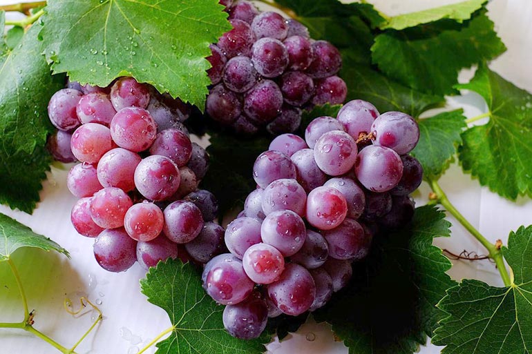 beautiful red grapes