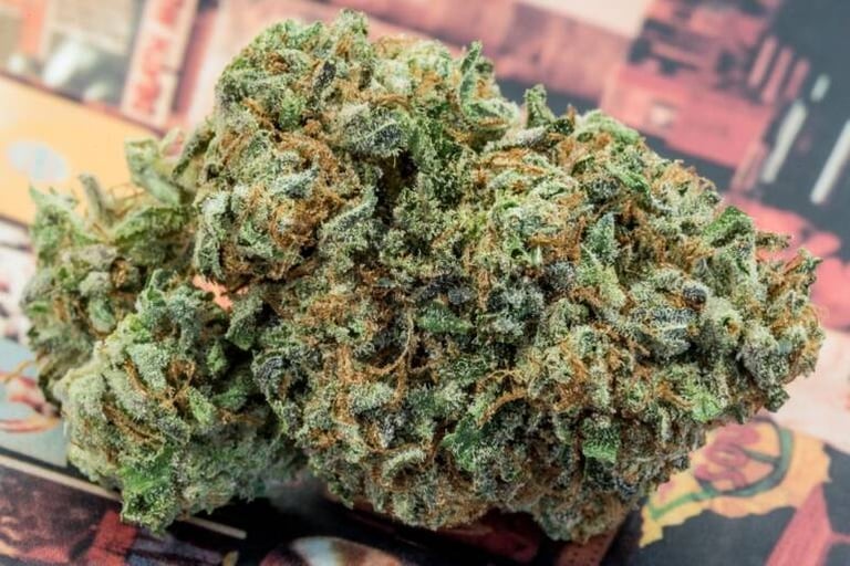 10 Best Weed Strains for Beer Lovers