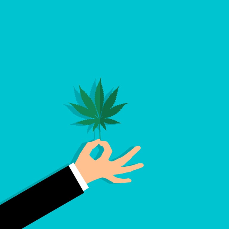 8 Reasons Behind the Popularity of Delta-8 Flowers