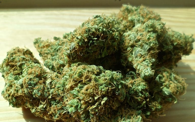 Beer and Marijuana: What Makes a Good Pairing?