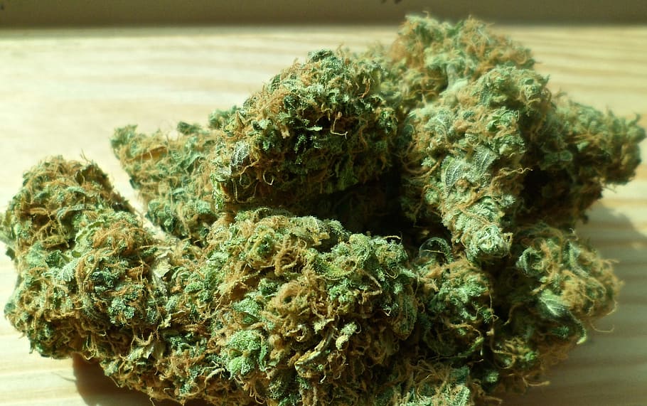 Beer and Marijuana: What Makes a Good Pairing?