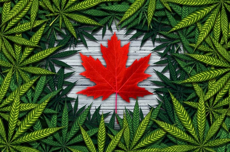Cannabis Shipping in Canada