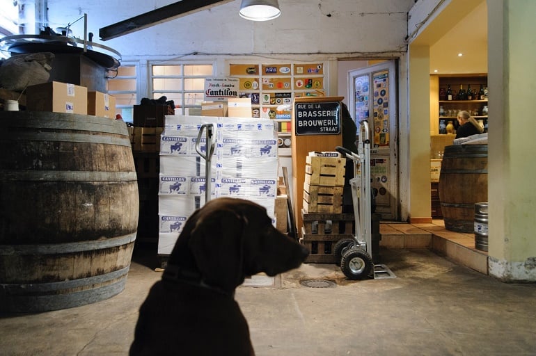 cantillon_-_lassie_comes_home.jpeg