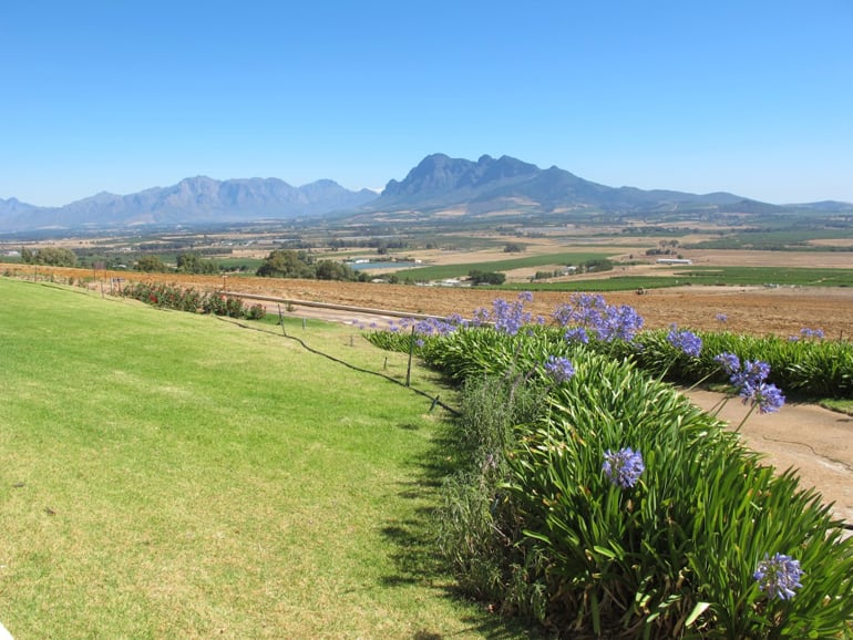 The view from Cape Brewing Company's beer garden. (Photo Credit: Lucy Corne)