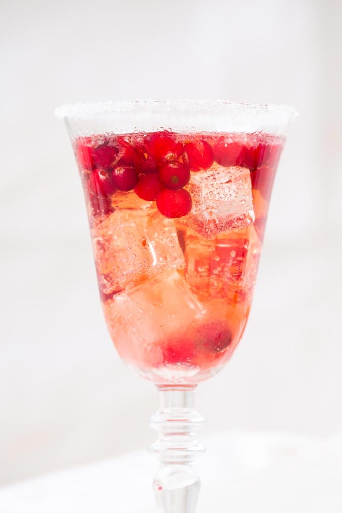 Cranberry Sage Spritzer