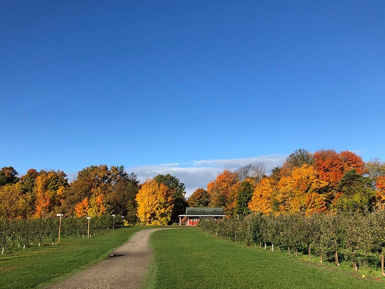 Crane Orchards - Fennville, Michigan