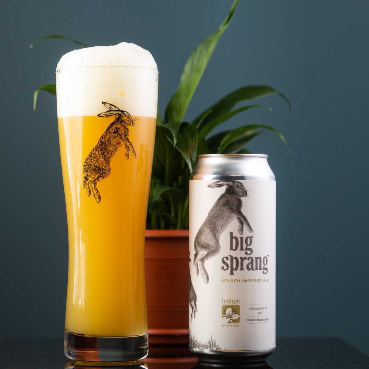 Big Sprang by Trillium Brewing Co,