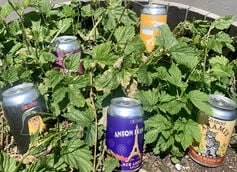 Diebolt Brewing Co. Announces Seasonal Brews