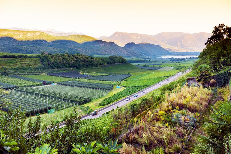 beautiful view of scenic farmland with apple orchard