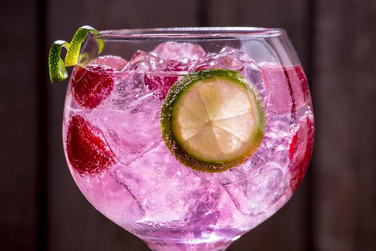 Fruity Gin and Tonic: Raspberry and Mint