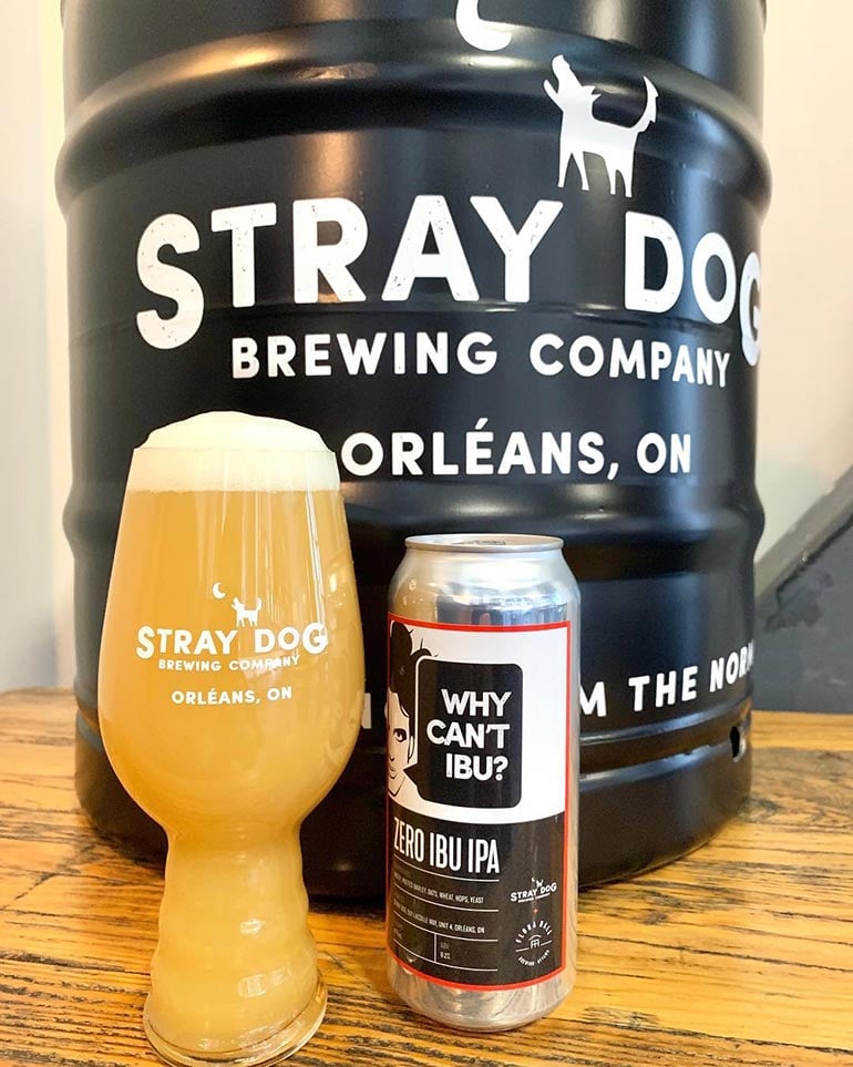 Pint of beer from Stray Dog Brewing Co. showing how ABV and IBU together shape a beer’s balance of strength and bitterness.