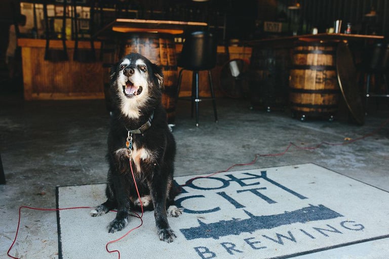 Charleston’s Burgeoning Craft Beer Scene