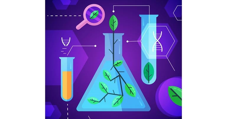 Foundations of Organic Chemistry: Exploring the Building Blocks of Life