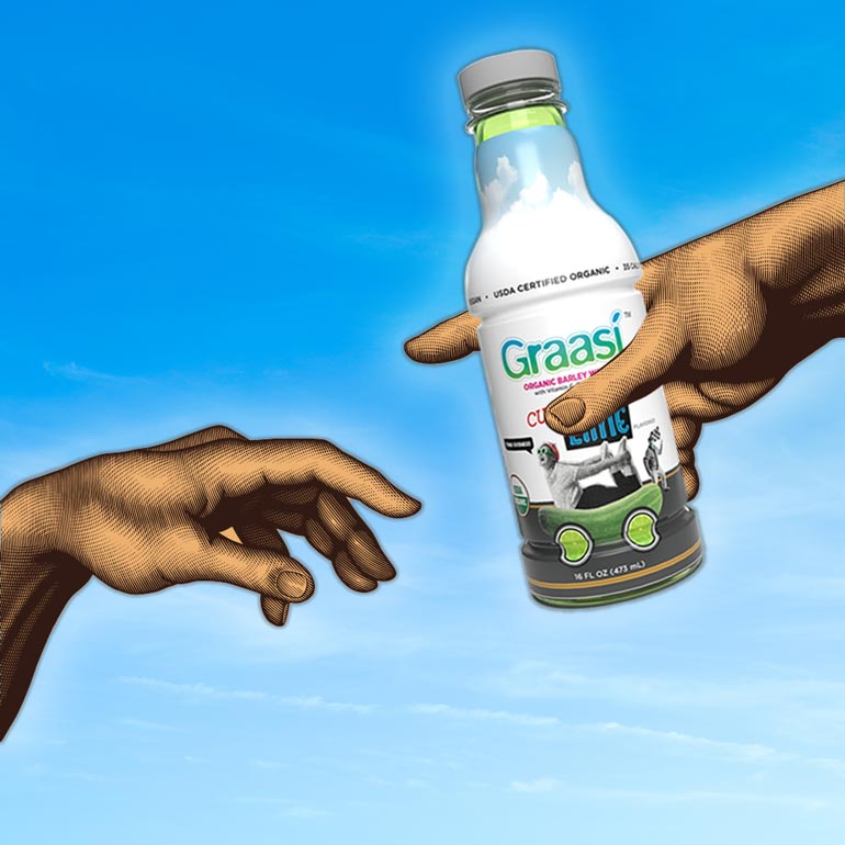 Graasi Organic Barley Water Makes Waves with Extensive Distribution Network Expansion