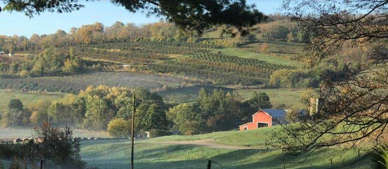 hollin farms delaplane virginia vista