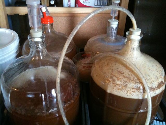 What beginners need to know about brewing delicious beer at home