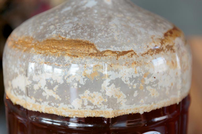 doppelbock fermenting at home in carboy