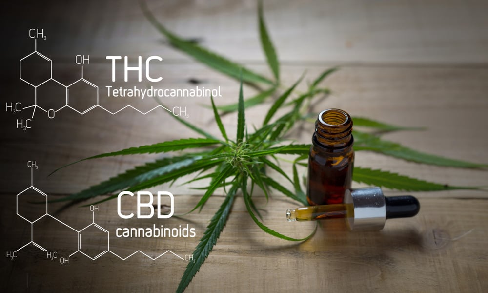Is CBD or THC Better for Sleep?