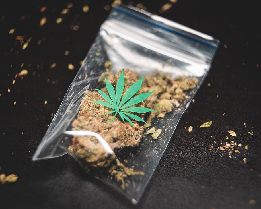 The Best Cannabis Strains for Beer Enthusiasts