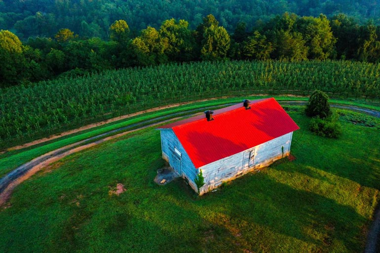 mericer farms blue ridge georgia