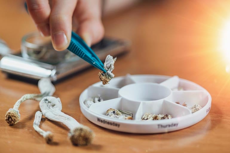 Microdosing: Shaping Perspectives and Potentials in Society
