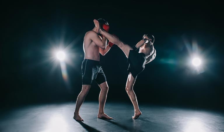MMA betting Canada: difficulties and types of bets