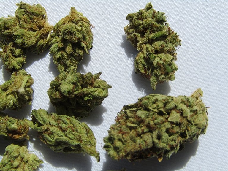 10 Reasons Behind the Popularity of Delta 8 Flowers