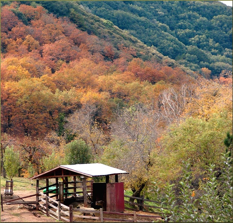 Riley's Farm - Oak Glen, California