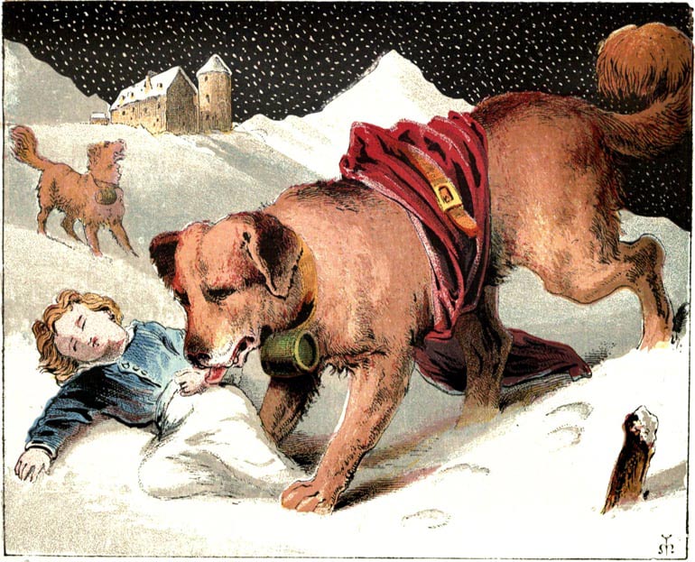 saint bernard painting saving child