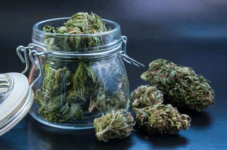 Sativa vs. Indica and Hybrids: Cannabis Seed Differences