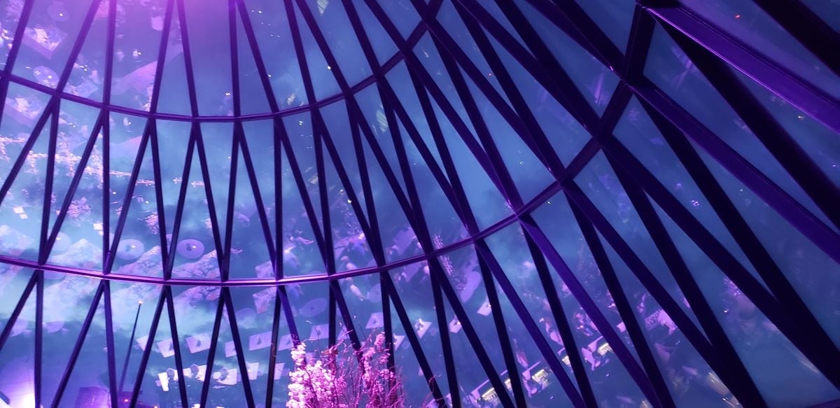 Searcys at The Gherkin ceiling