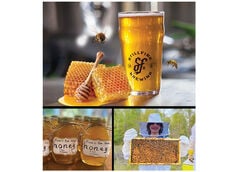 StillFire Brewing Announces Slew of New Releases Including Buzzworthy Honey Oat IPA