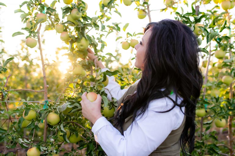 Snow Capped Cider Achieves Double Victory at the 2024 Good Food Awards