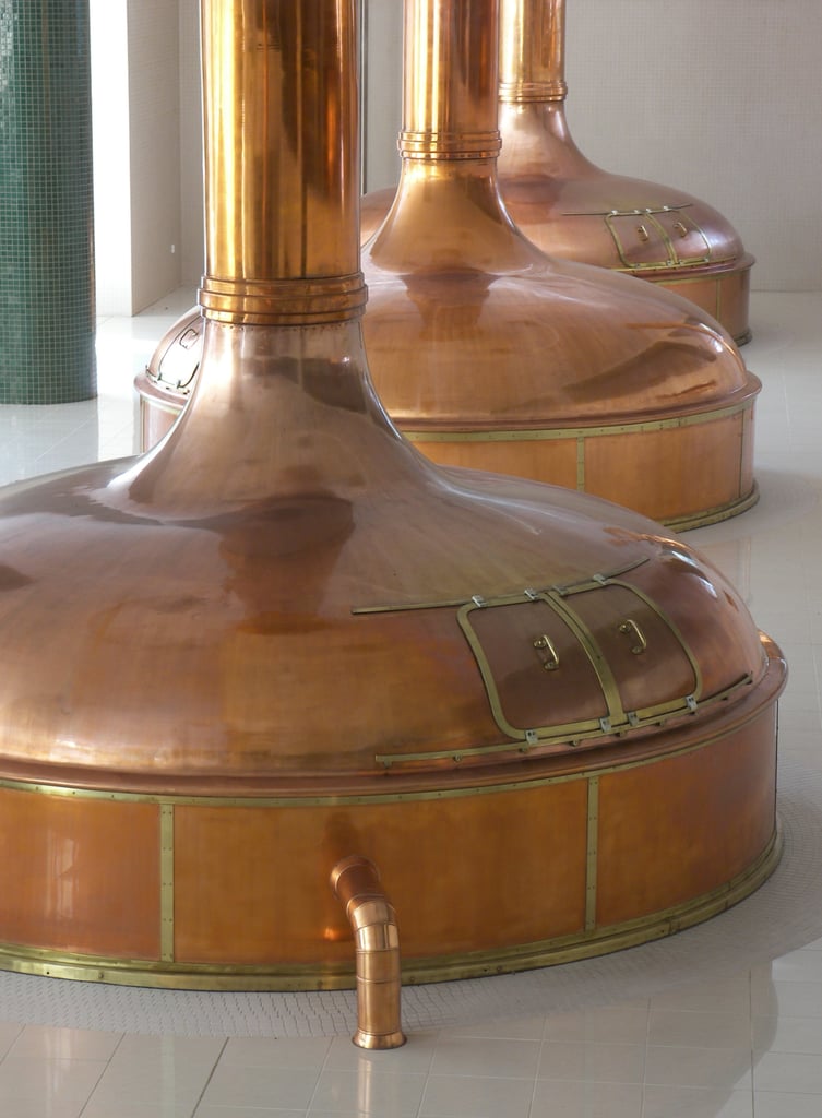 Beer Brewing Schools