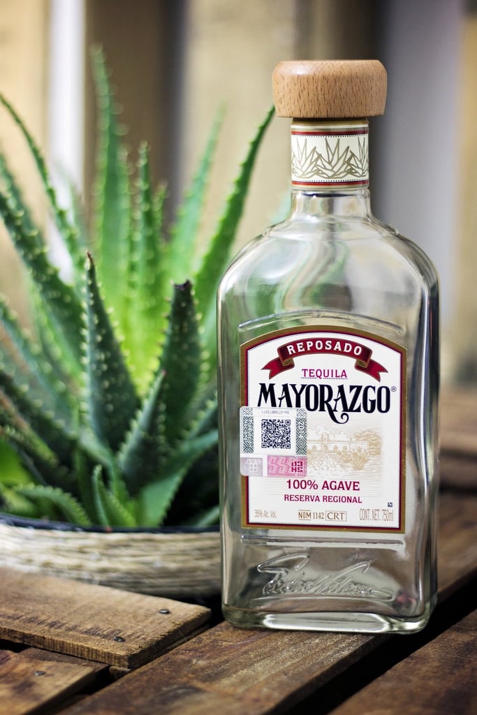 A Brief History of Tequila for Student Bartenders