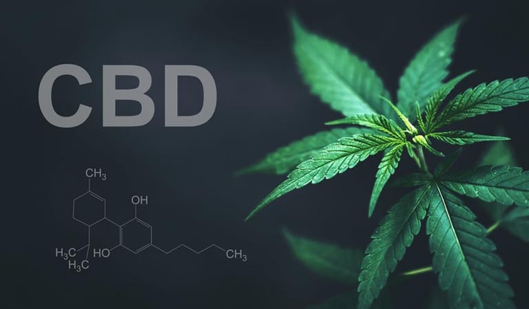 The Legal Landscape of CBD: What You Need to Know Before You Buy