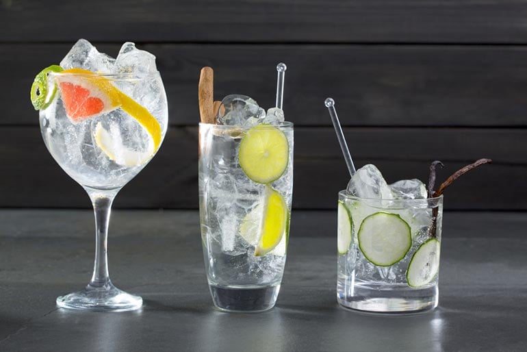 The Origins of Gin and Tonic and Nine Fun G&T Recipes for Summer