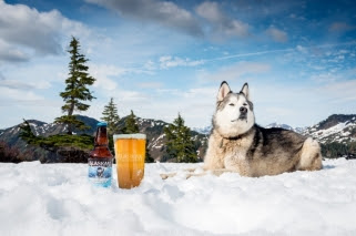 Alaskan Brewing Adds Husky IPA as Year-Round Offering