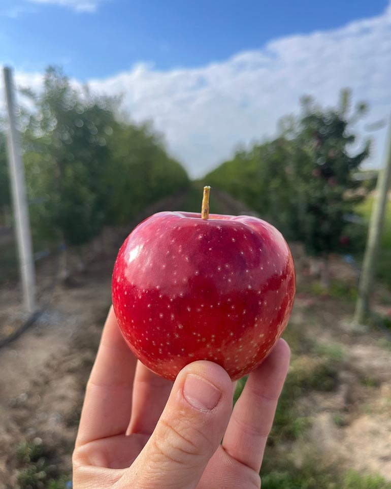 Vala's Pumpkin Patch & Apple Orchard - Gretna, Nebraska