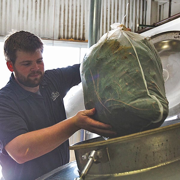 A Yard's brewer adds local blue spruce to its Poor Richard's Tavern Spruce, inspired by a Benjamin Franklin recipe.