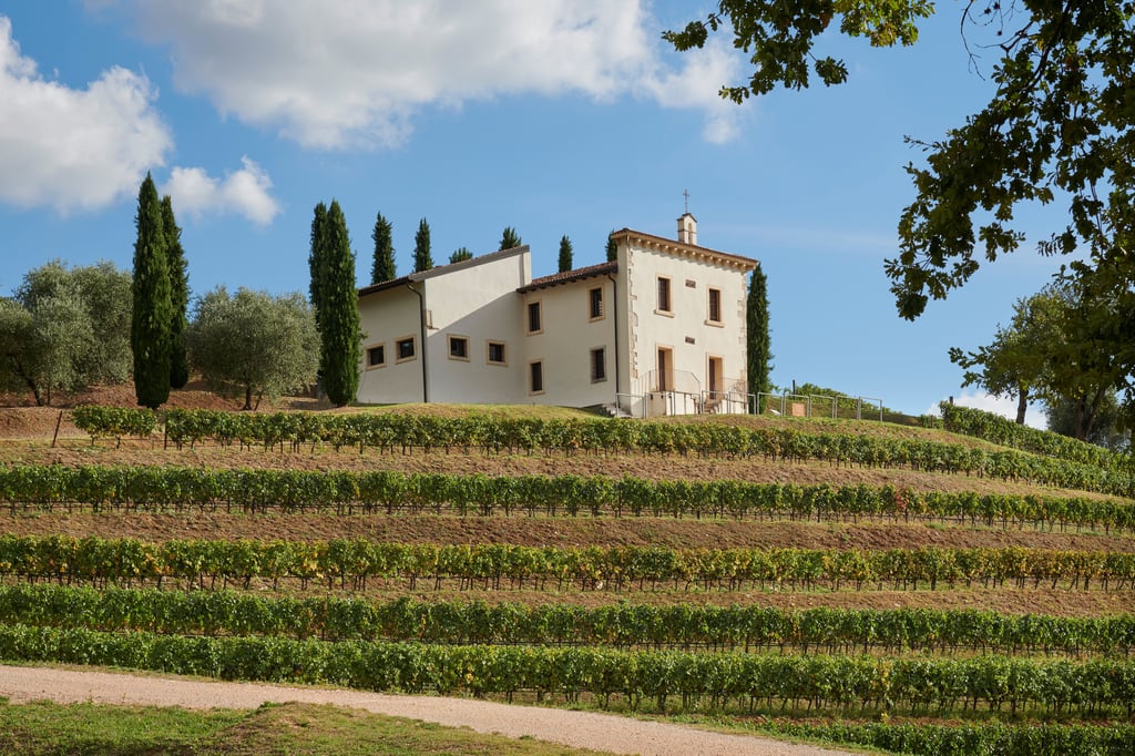 one of the ten historic wineries in Valpolicella, Italy